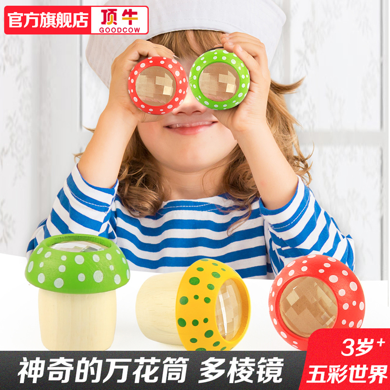 Kaleidoscope Toy TS7804